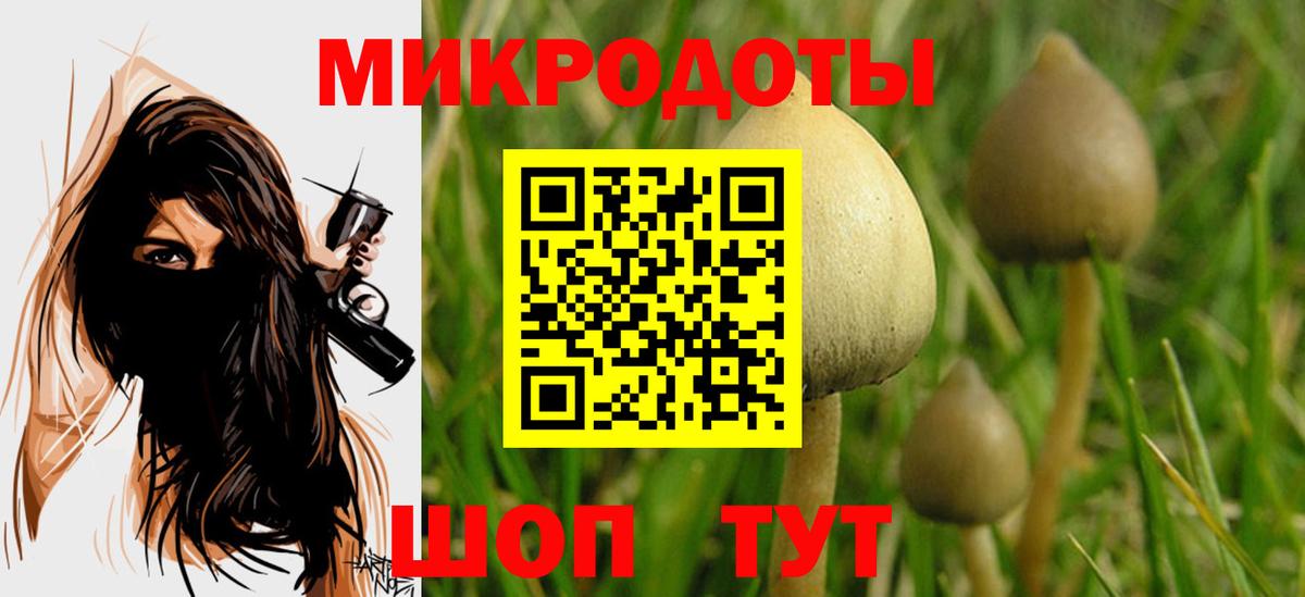 Псилоцибиновые грибы Psilocybine cubensis Коломна